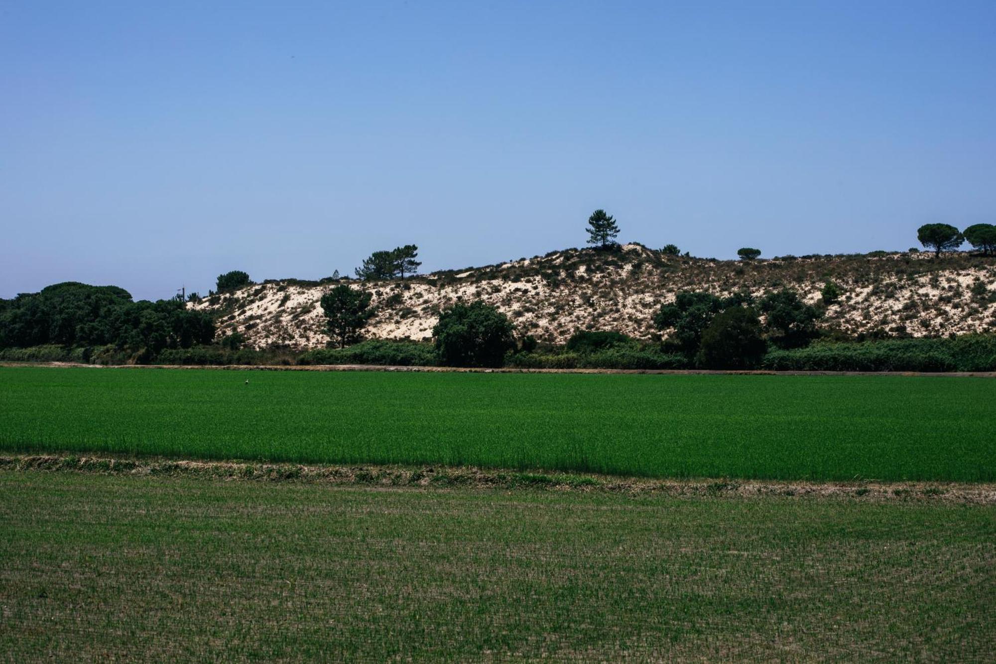 Herdade De Montalvo - Comporta Dış mekan fotoğraf