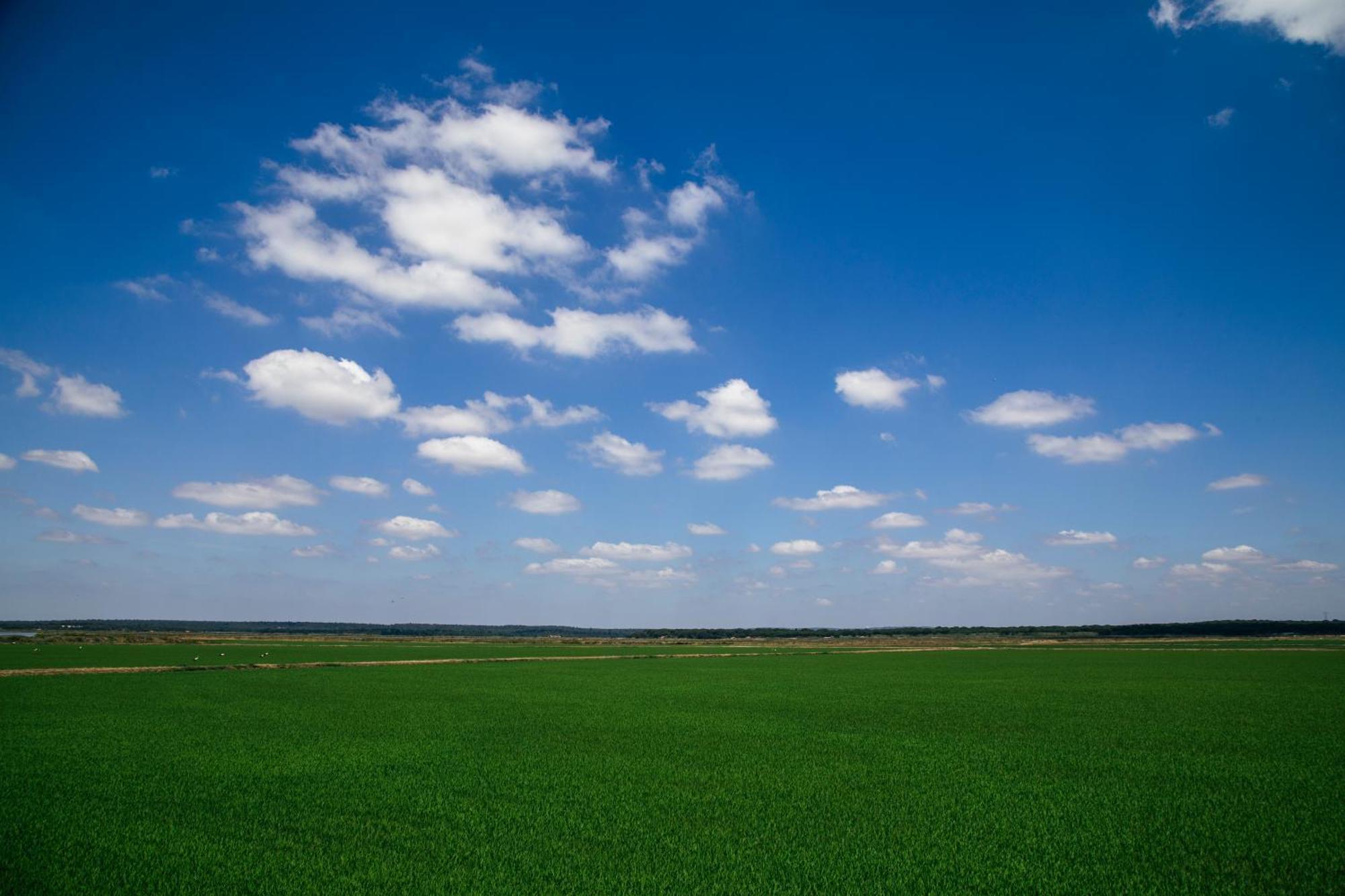 Herdade De Montalvo - Comporta Dış mekan fotoğraf