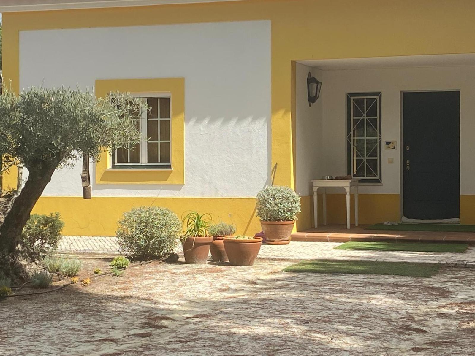 Herdade De Montalvo - Comporta Dış mekan fotoğraf