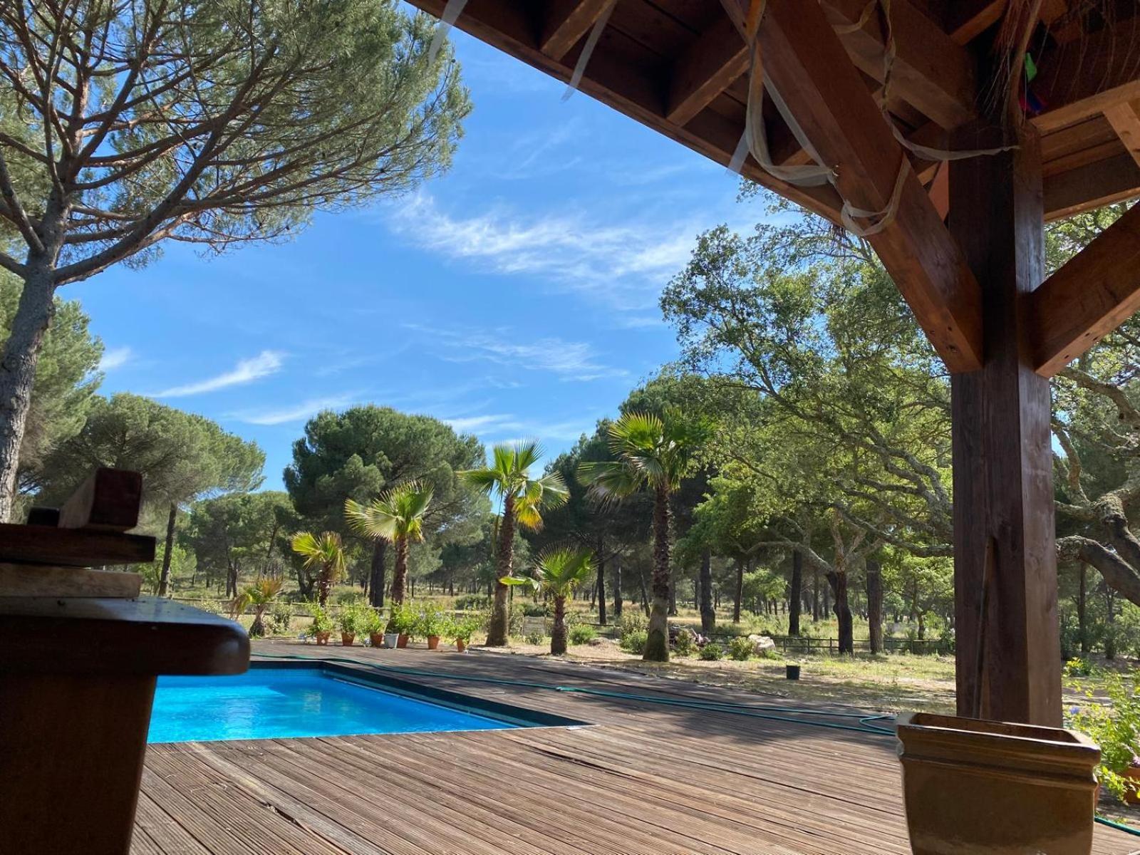 Herdade De Montalvo - Comporta Dış mekan fotoğraf